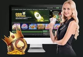 Plinko Game introduction on 8 bdt for Bangladesh adult users